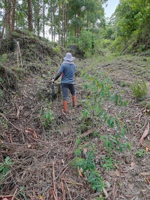 Laudo ambiental