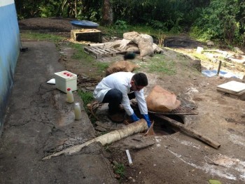 Laudo de Avaliação Ambiental em Minas Gerais