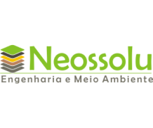 Relatório Final de Pesquisa Mineral RFP